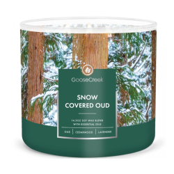 Snow Covered Oud