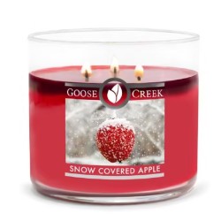 Snow covered apples